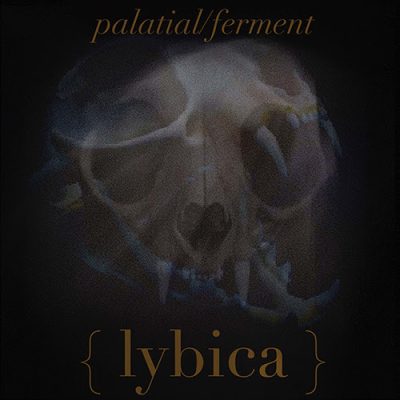 LYBICA - Neue Songs der Instrumental-Metaller rund um KILLSWITCH ENGAGE Gitarrist Justin Foley