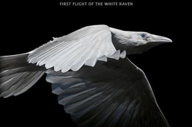 WARDRUNA - First Flight Of The White Raven - Live