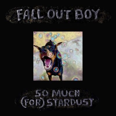 fall out boy from the other side