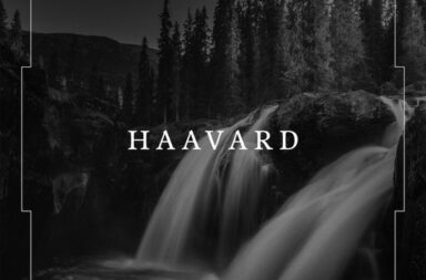 HAAVARD - Haavard