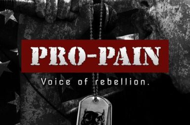 PRO-PAIN - Round 6