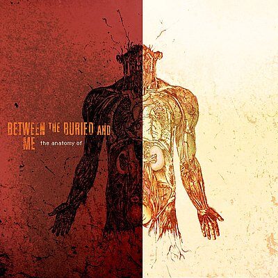 BETWEEN THE BURIED AND ME - The Anatomy Of