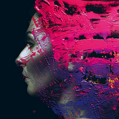 steven wilson Hand. Cannot. Erase.