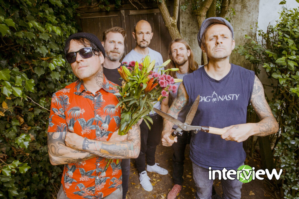 DONOTS – Ingo Knollmann