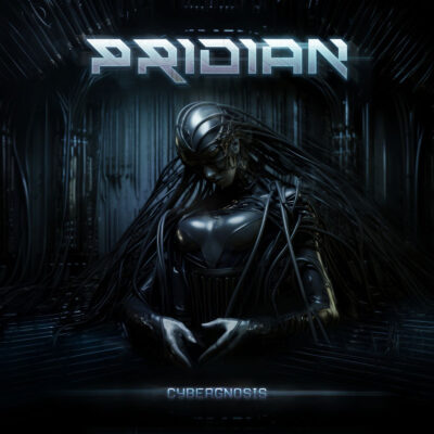 pridian cybergnosis