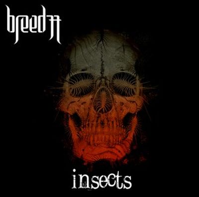 breed 77 insects