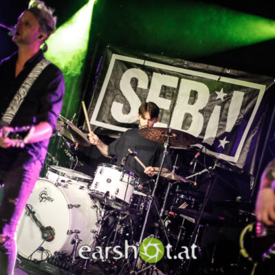 ZEBRAHEAD, SEBI