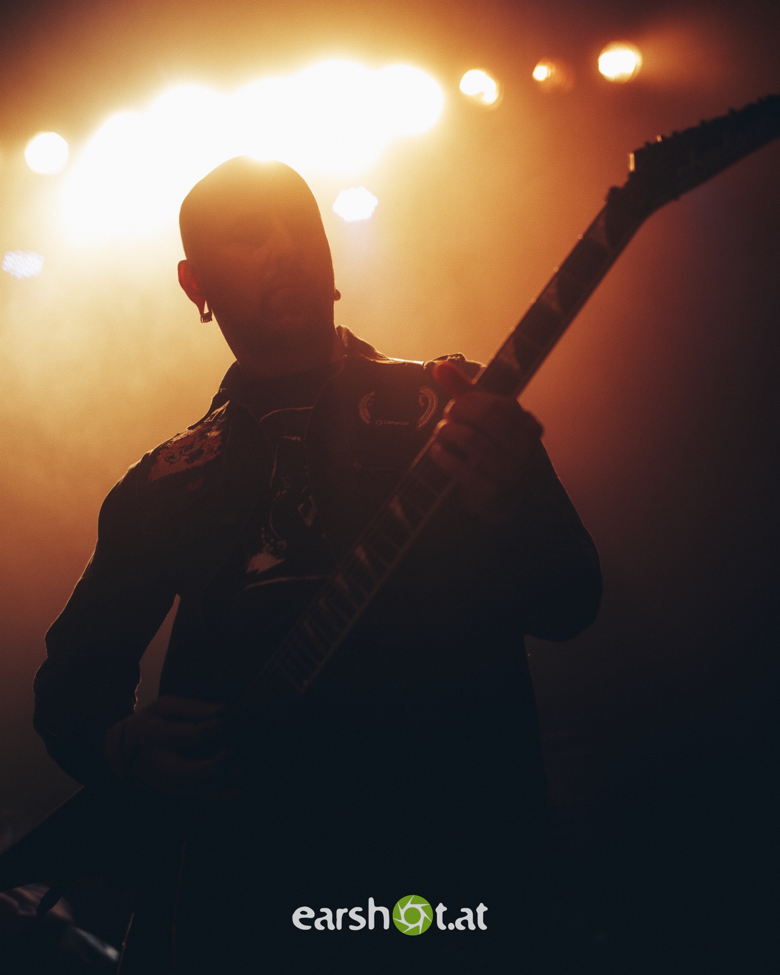 STICK TO YOUR GUNS, BODYSNATCHER, ELWOOD STRAY, NO CURE