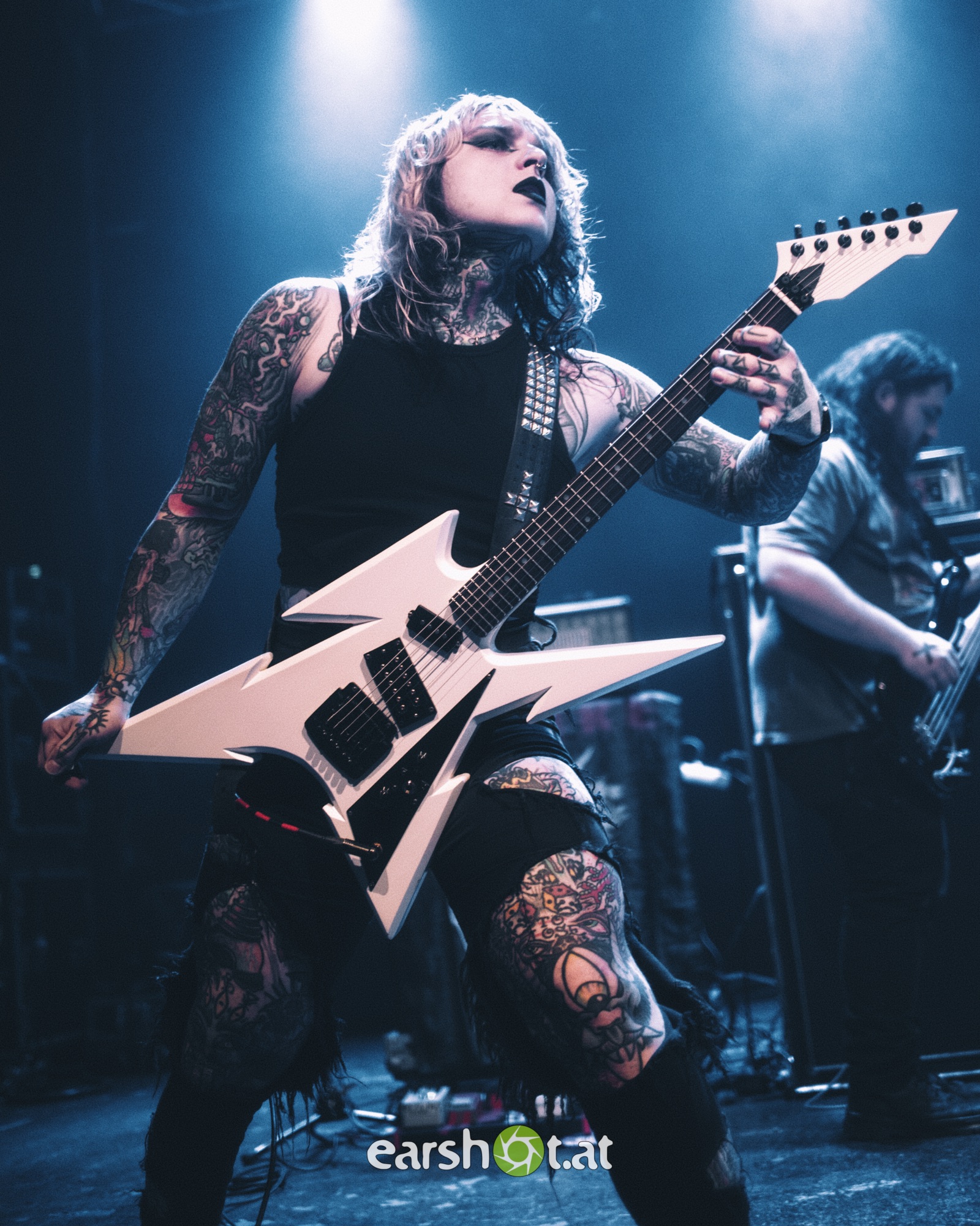 STICK TO YOUR GUNS, BODYSNATCHER, ELWOOD STRAY, NO CURE