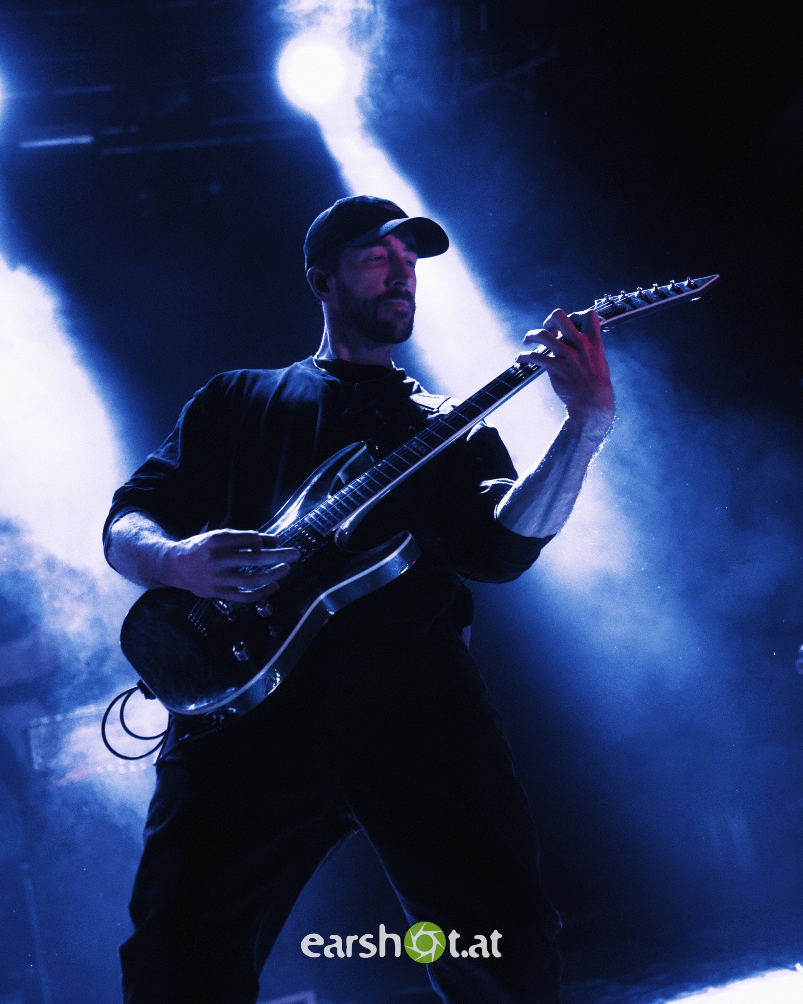 STICK TO YOUR GUNS, BODYSNATCHER, ELWOOD STRAY, NO CURE