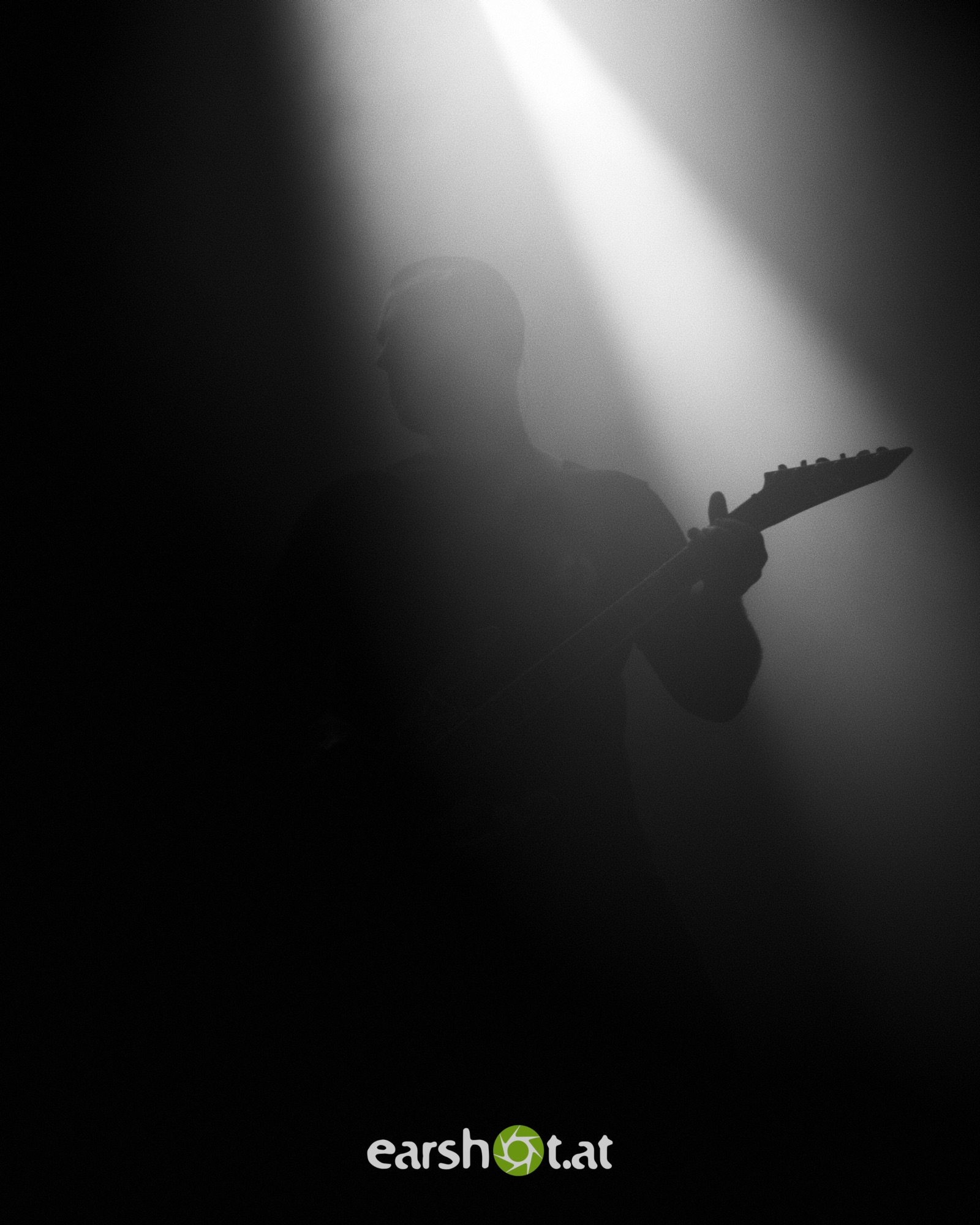 STICK TO YOUR GUNS, BODYSNATCHER, ELWOOD STRAY, NO CURE