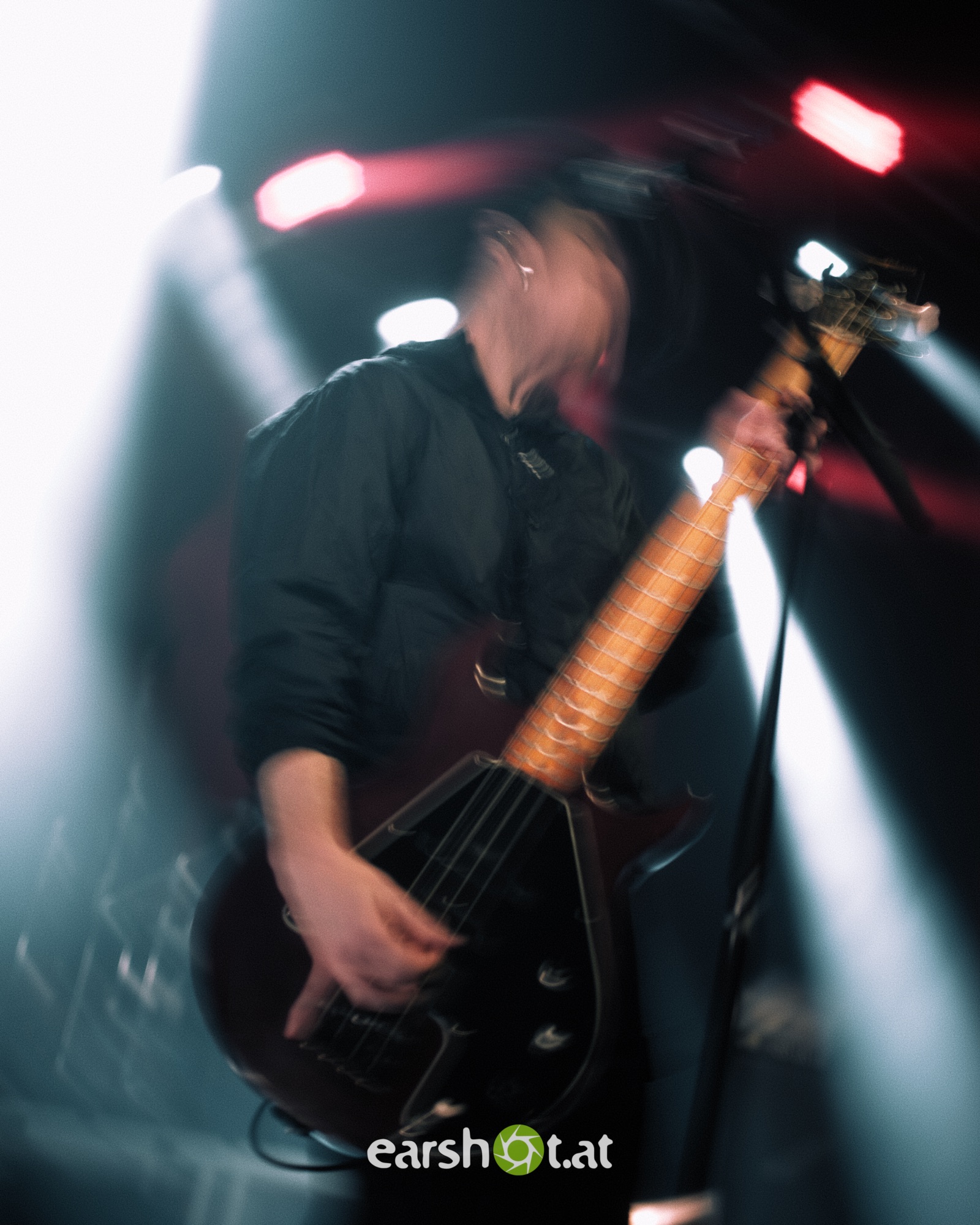 STICK TO YOUR GUNS, BODYSNATCHER, ELWOOD STRAY, NO CURE