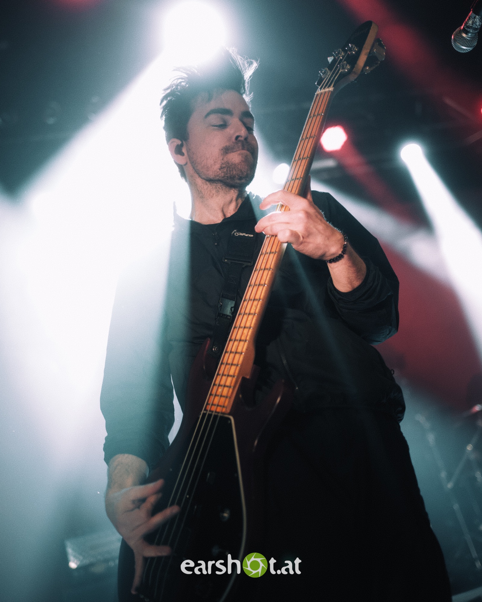 STICK TO YOUR GUNS, BODYSNATCHER, ELWOOD STRAY, NO CURE