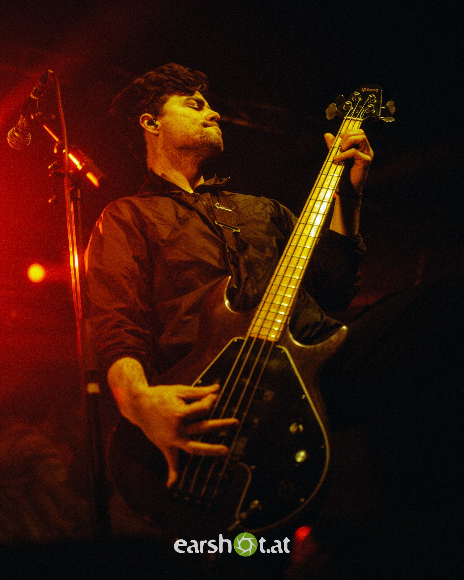 STICK TO YOUR GUNS, BODYSNATCHER, ELWOOD STRAY, NO CURE