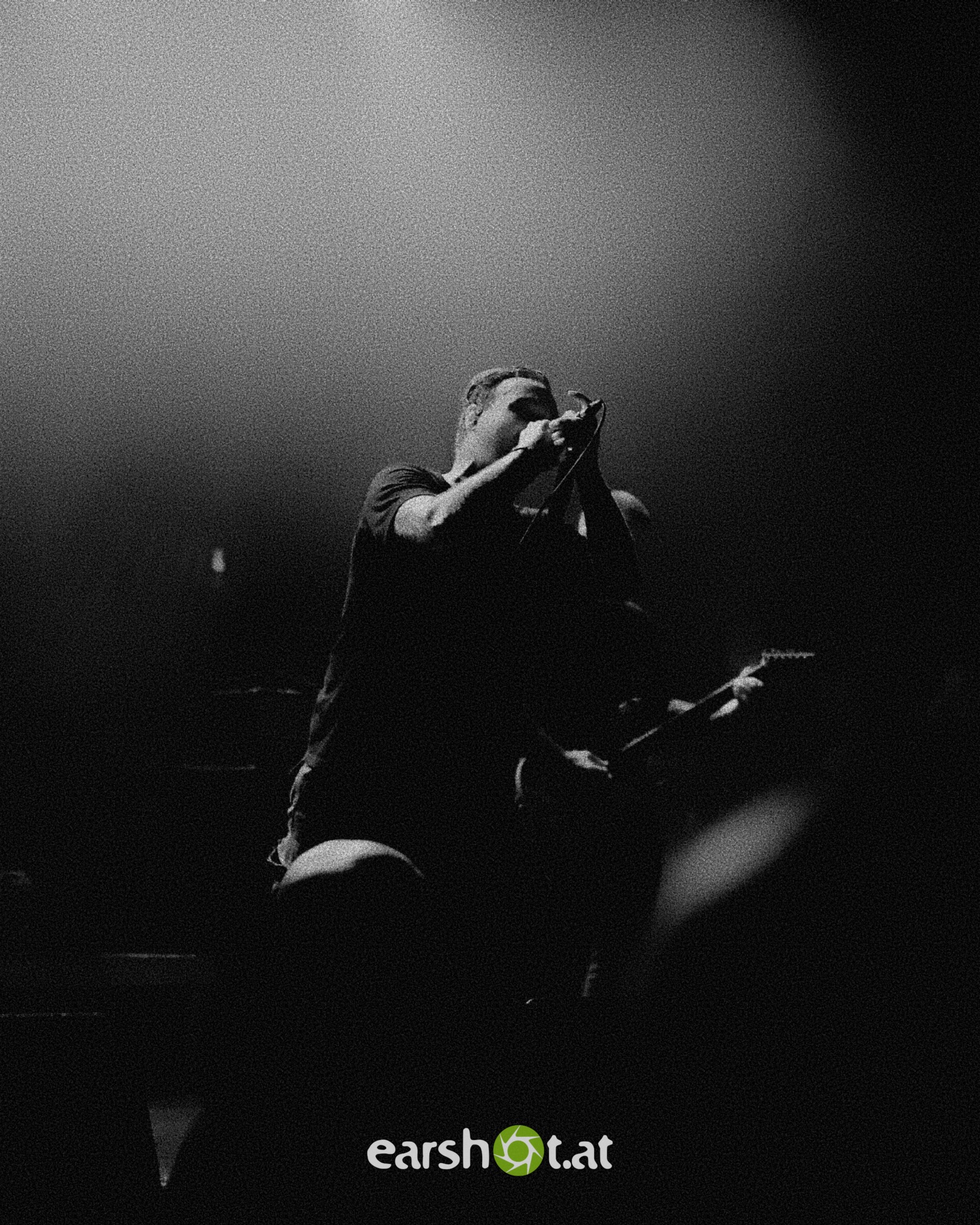 STICK TO YOUR GUNS, BODYSNATCHER, ELWOOD STRAY, NO CURE