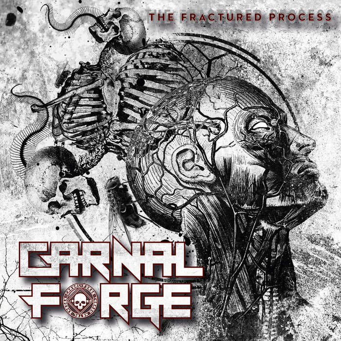 carnal - the fractured process