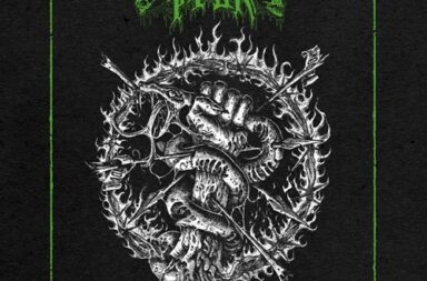 DESERTED FEAR – Veins Of Fire