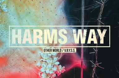 HARM'S WAY - Other World