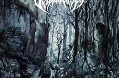 VELJESSURMA - Haltioissaan