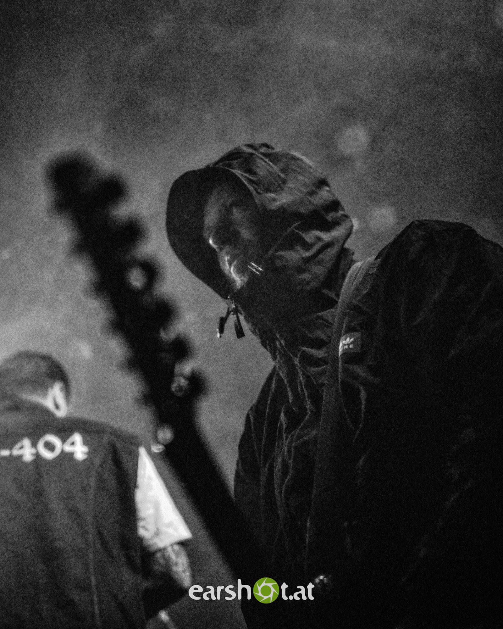 Graphic Nature im Wiener Flex