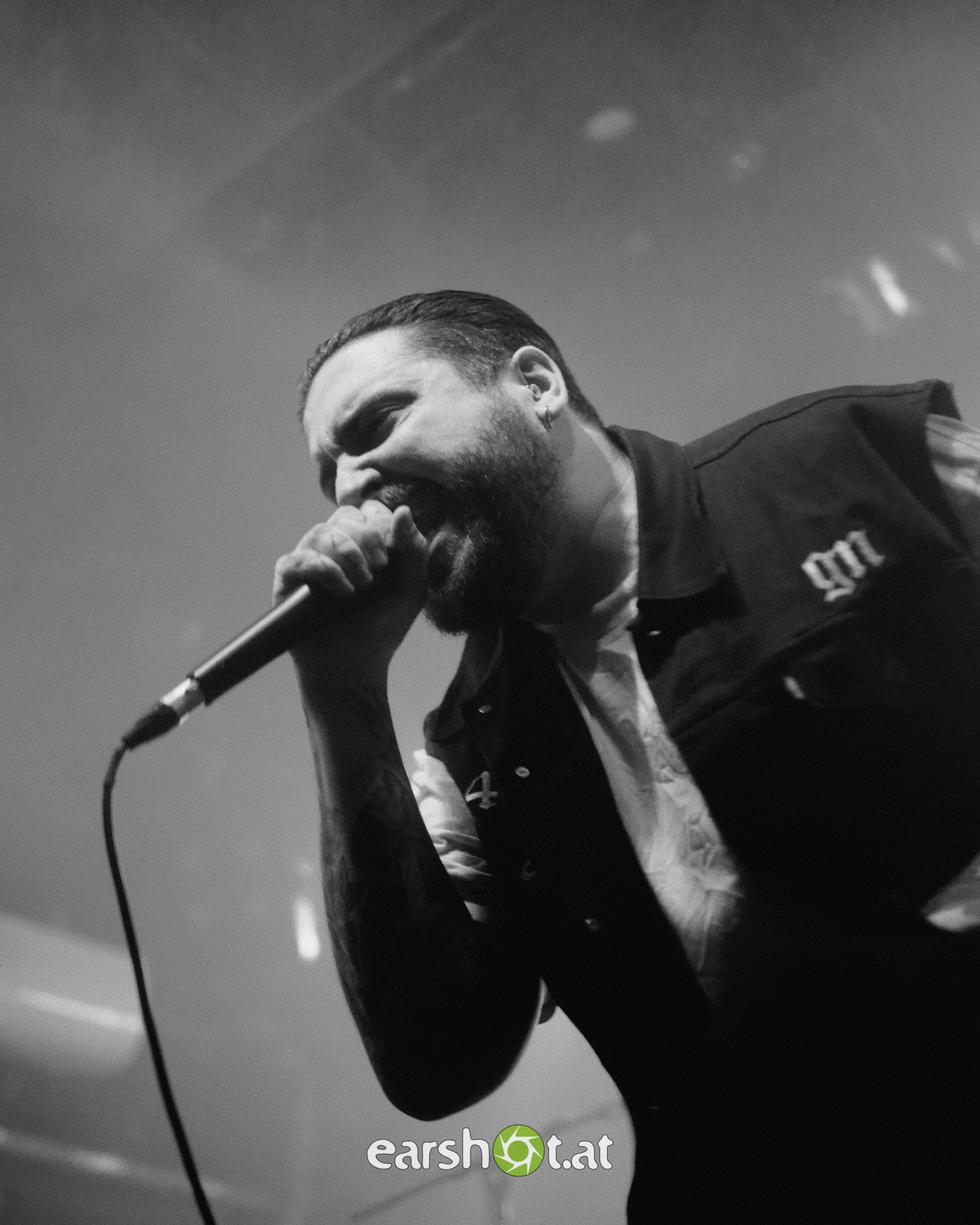 Graphic Nature im Wiener Flex