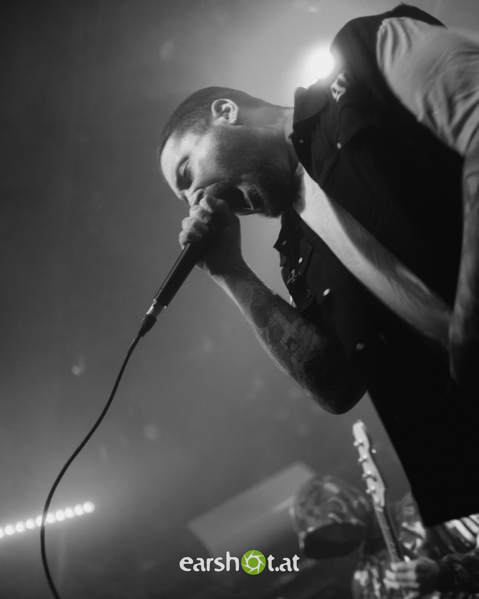 Graphic Nature im Wiener Flex