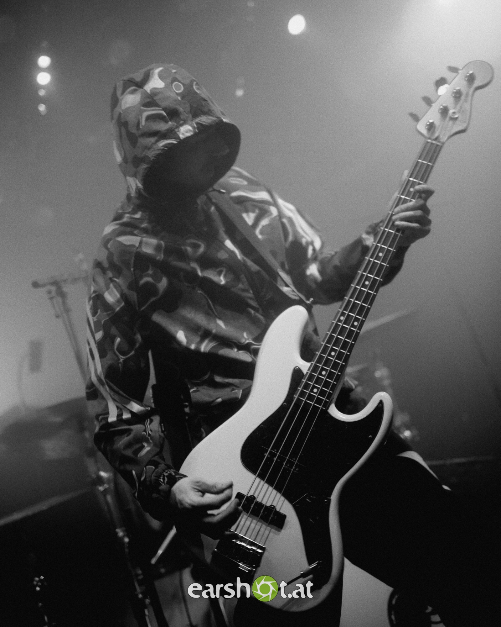 Graphic Nature im Wiener Flex