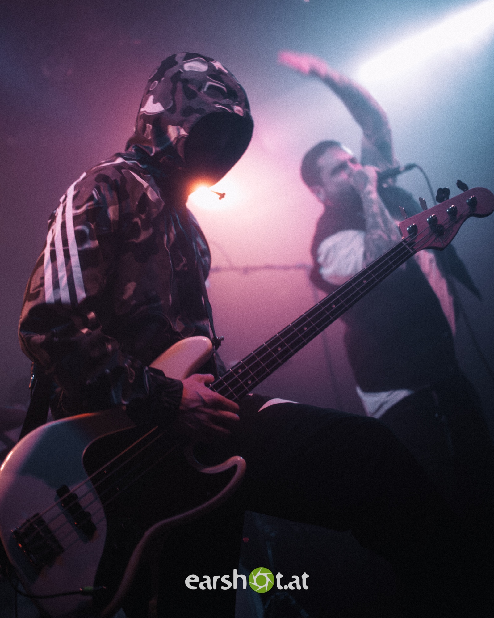 Graphic Nature im Wiener Flex