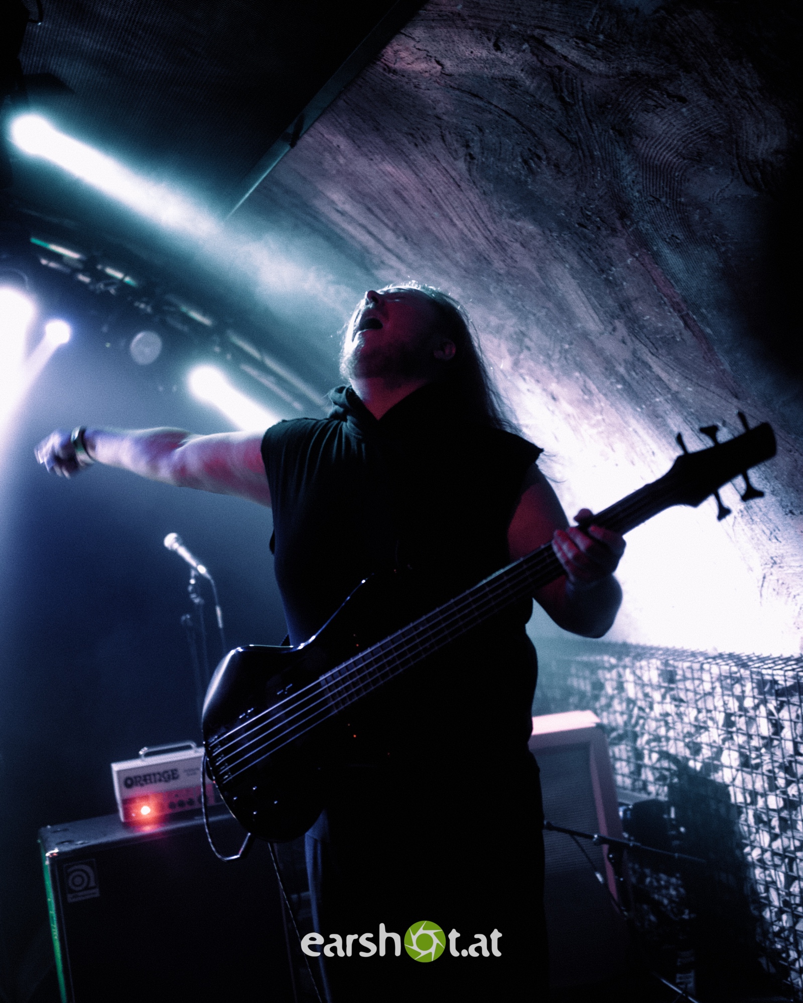 DSC_7317 SIGNS OF THE SWARM, TERMINAL SLEEP, LIFEDRAINER