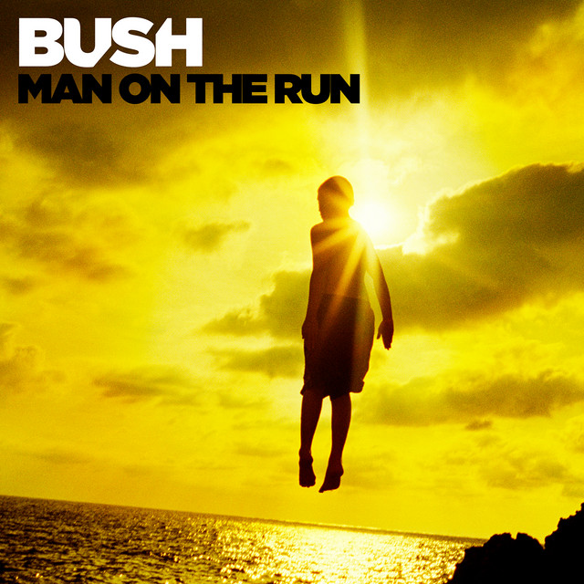 bush - man on the run