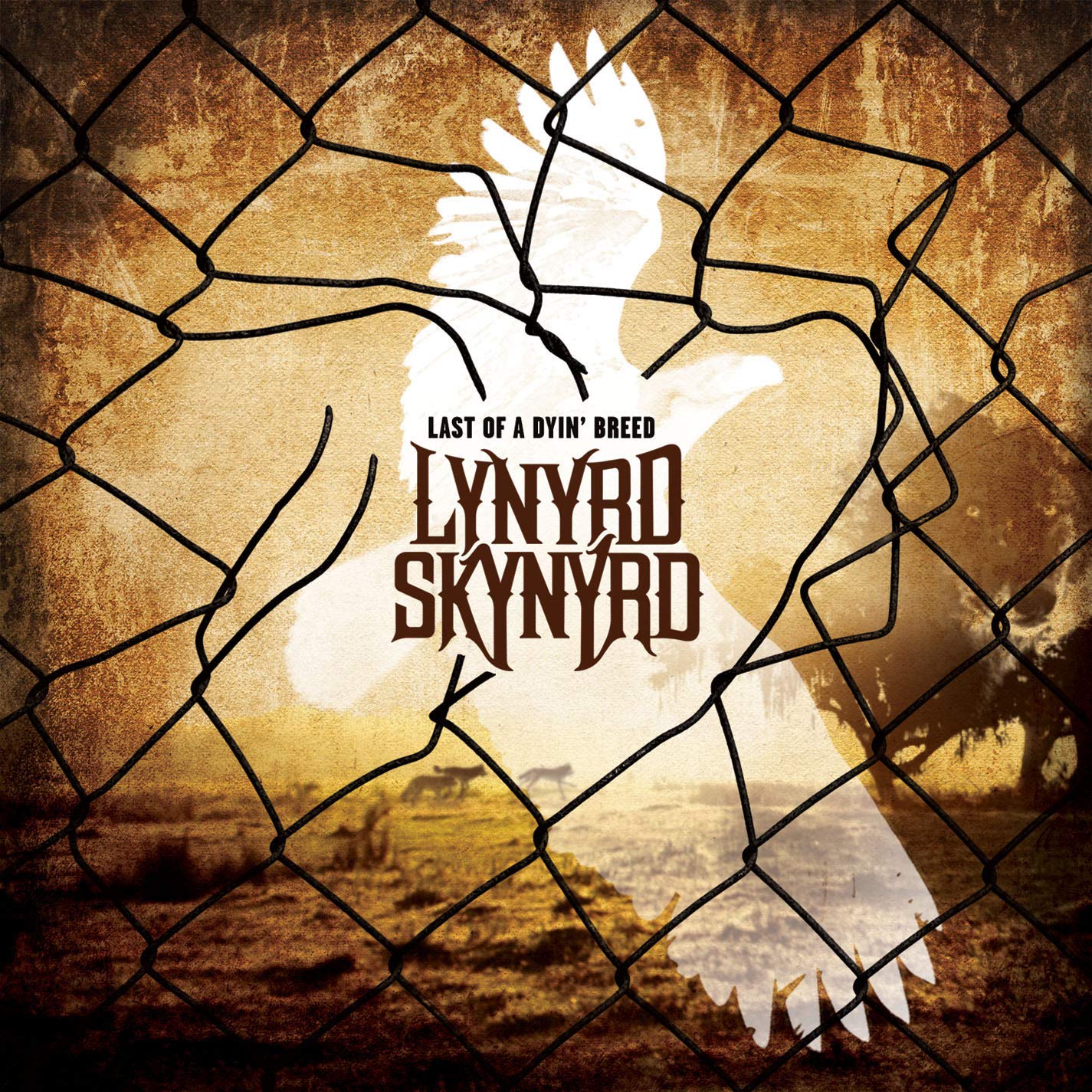 lynyrd skynyrd - last of a dyin breed
