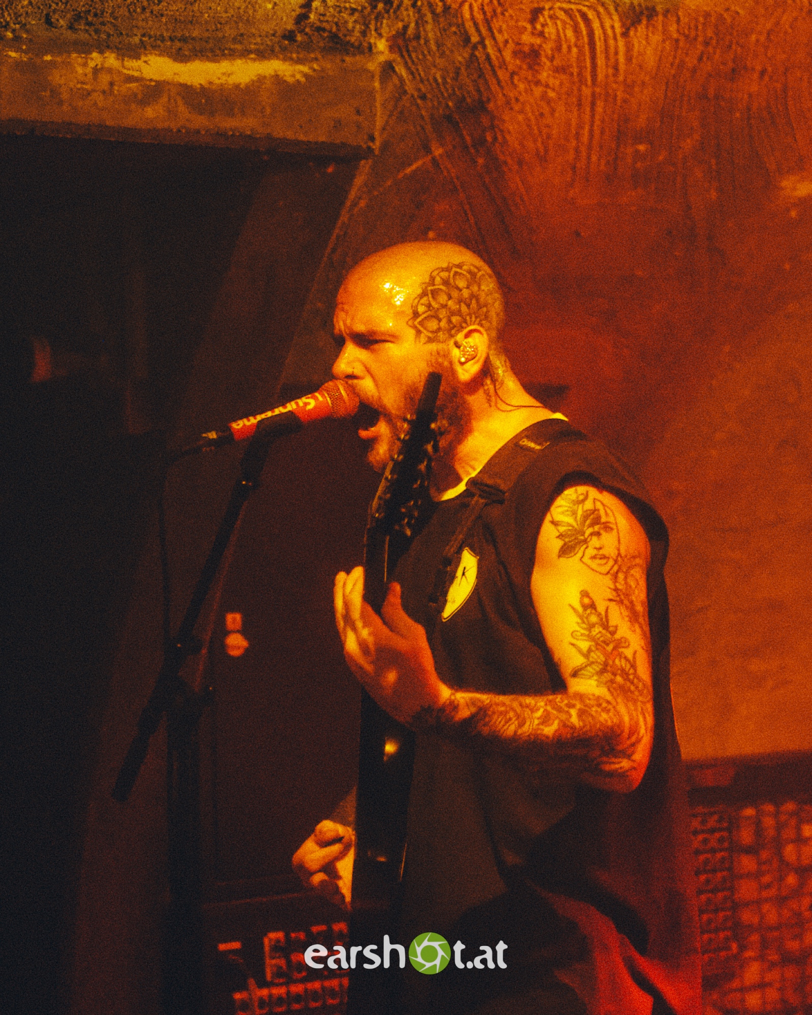 signsoftheswarm_rockhouse_6 SIGNS OF THE SWARM, TERMINAL SLEEP, LIFEDRAINER