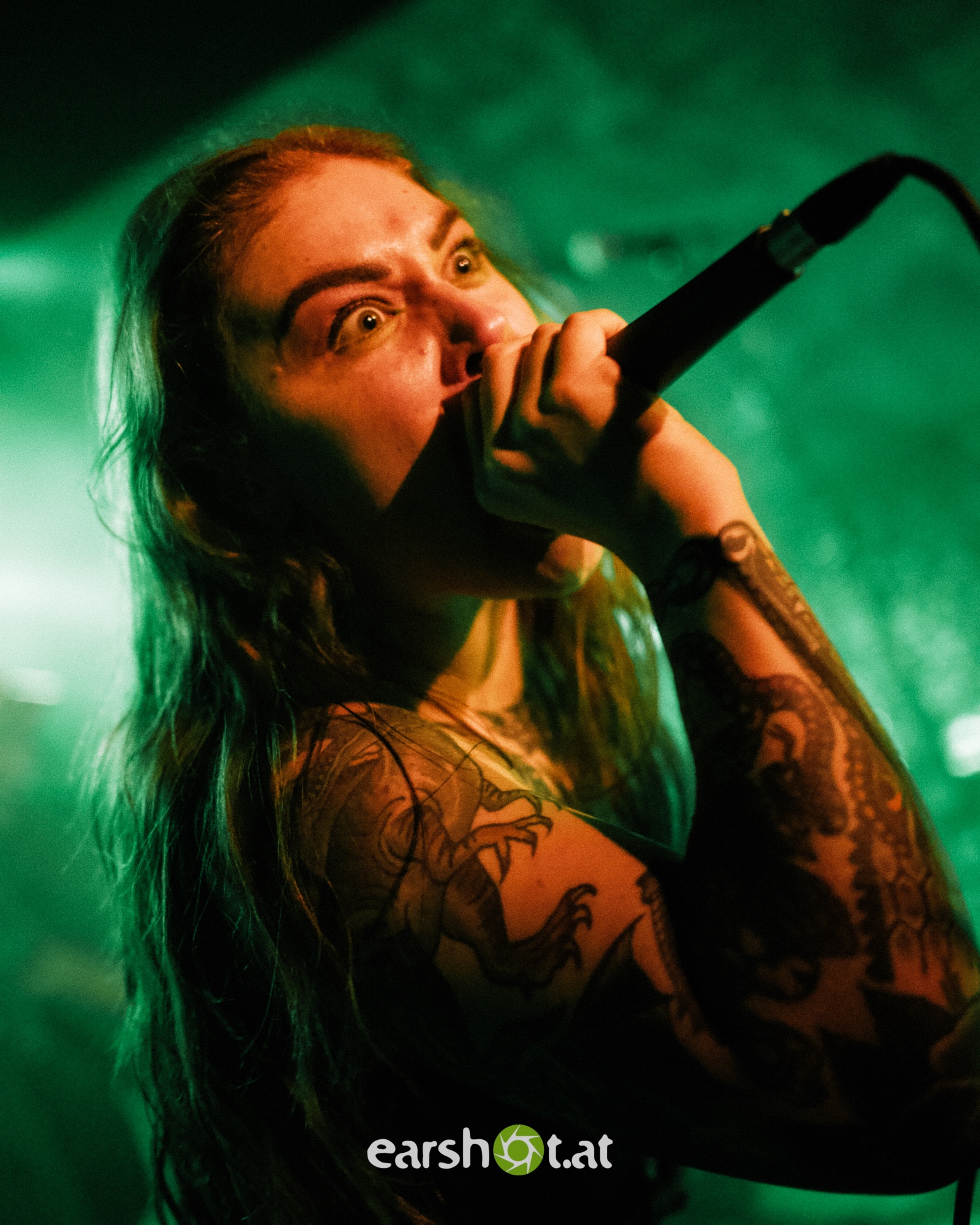 terminalsleep_rockhouse_2 SIGNS OF THE SWARM, TERMINAL SLEEP, LIFEDRAINER