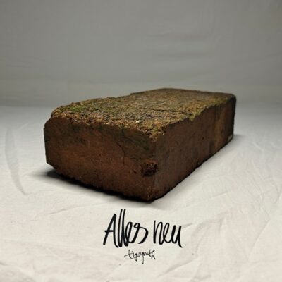 Tigeryouth - Alles Neu