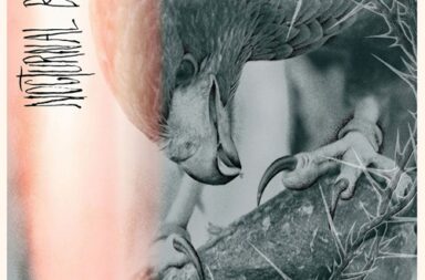 author punisher - nocturnal