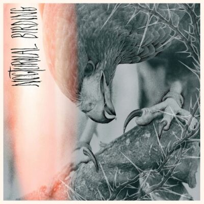 author punisher - nocturnal