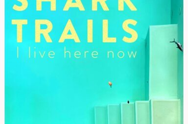 Shark Trails - I live here now