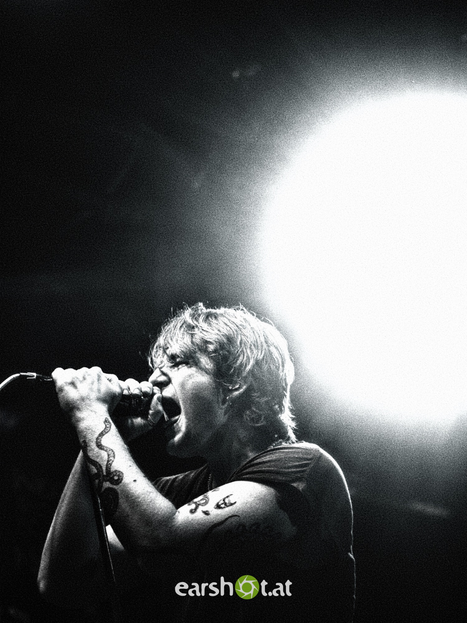 Thornhill in Wien auf der Fühne im Flex