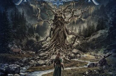 thorondir - wächter des waldes