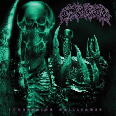 TRIBAL GAZE – Inveighing Brilliance