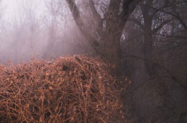 THE DEVIL'S TRADE – Nincs Szennyezetlen Szép