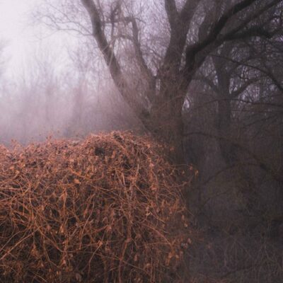 THE DEVIL'S TRADE – Nincs Szennyezetlen Szép