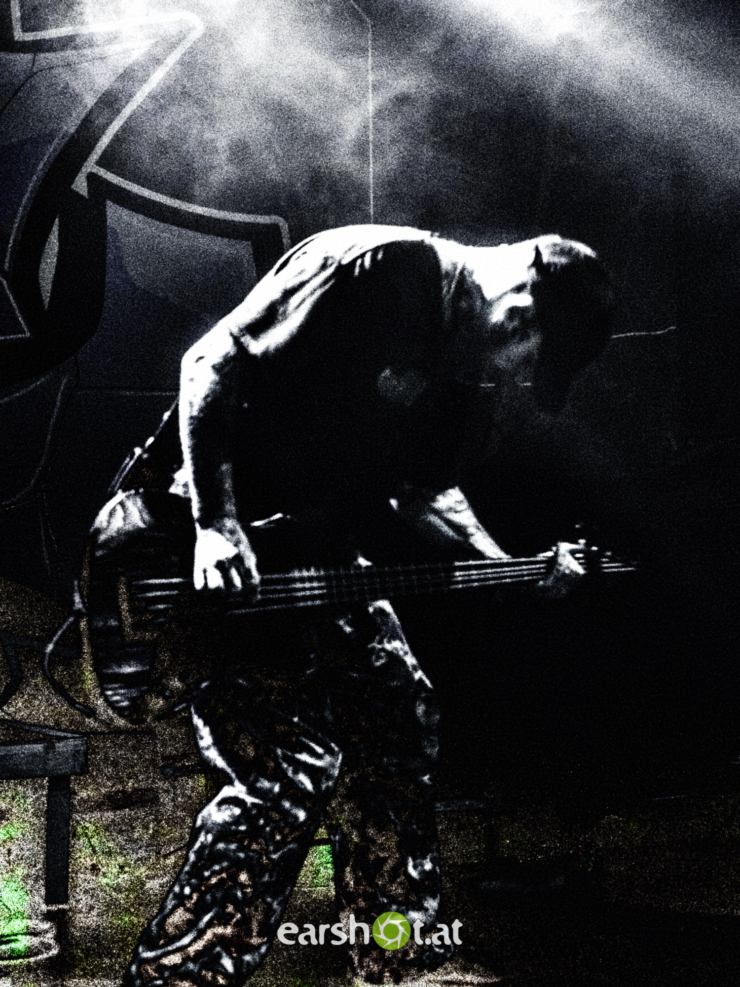 STRAY FROM THE PATH, ALPHA WOLF, GRAPHIC NATURE, CALVA LOUISE