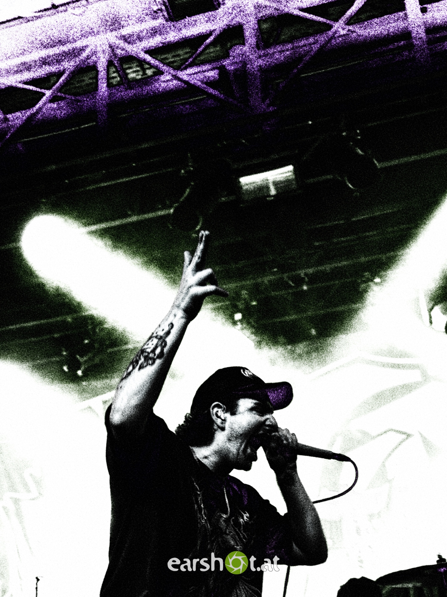 STRAY FROM THE PATH, ALPHA WOLF, GRAPHIC NATURE, CALVA LOUISE