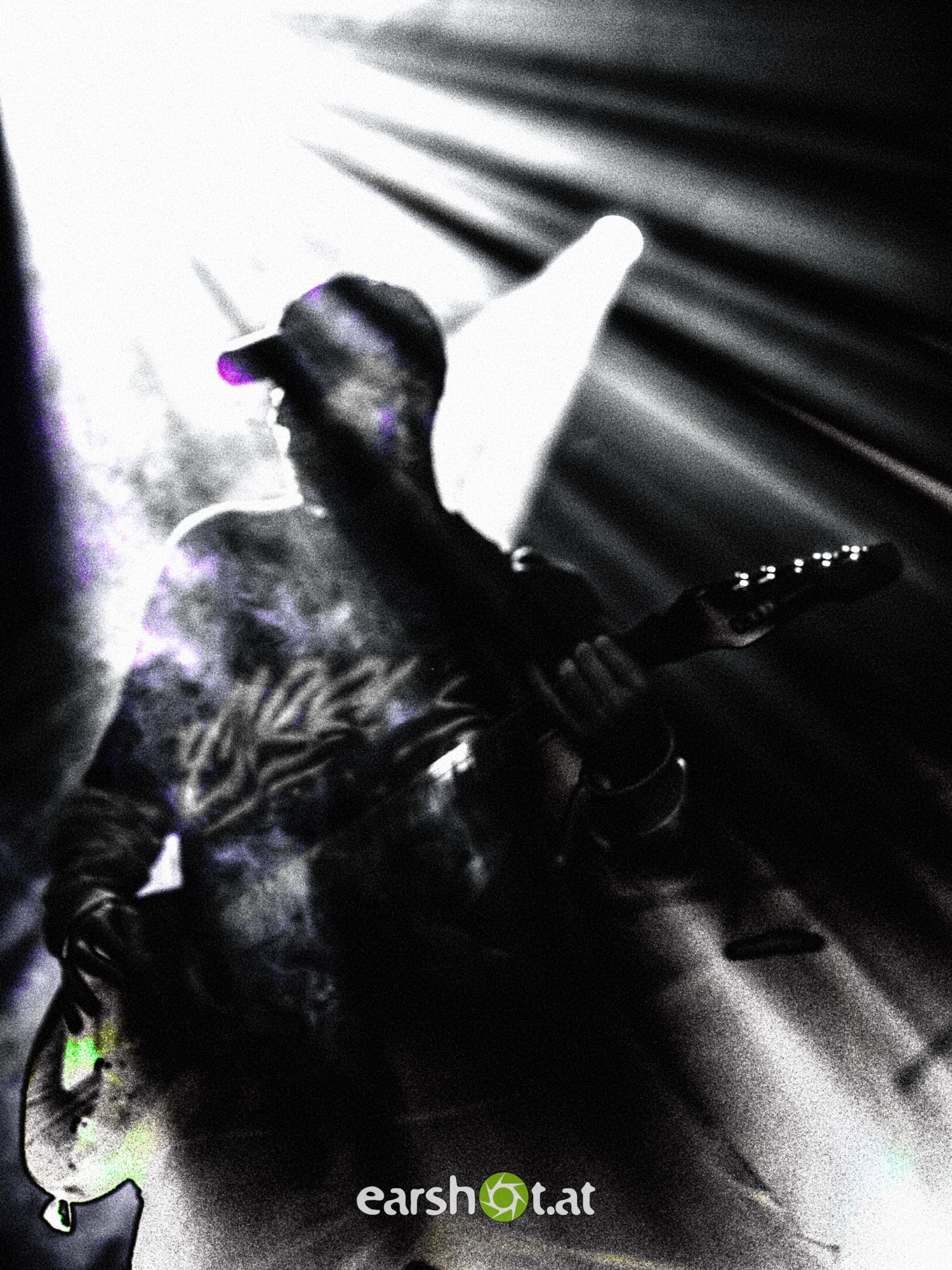 STRAY FROM THE PATH, ALPHA WOLF, GRAPHIC NATURE, CALVA LOUISE