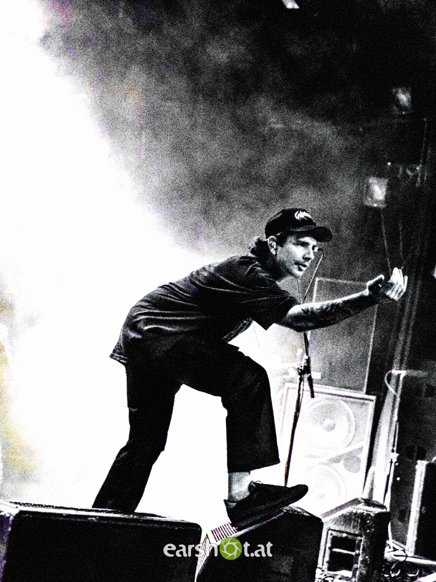 STRAY FROM THE PATH, ALPHA WOLF, GRAPHIC NATURE, CALVA LOUISE