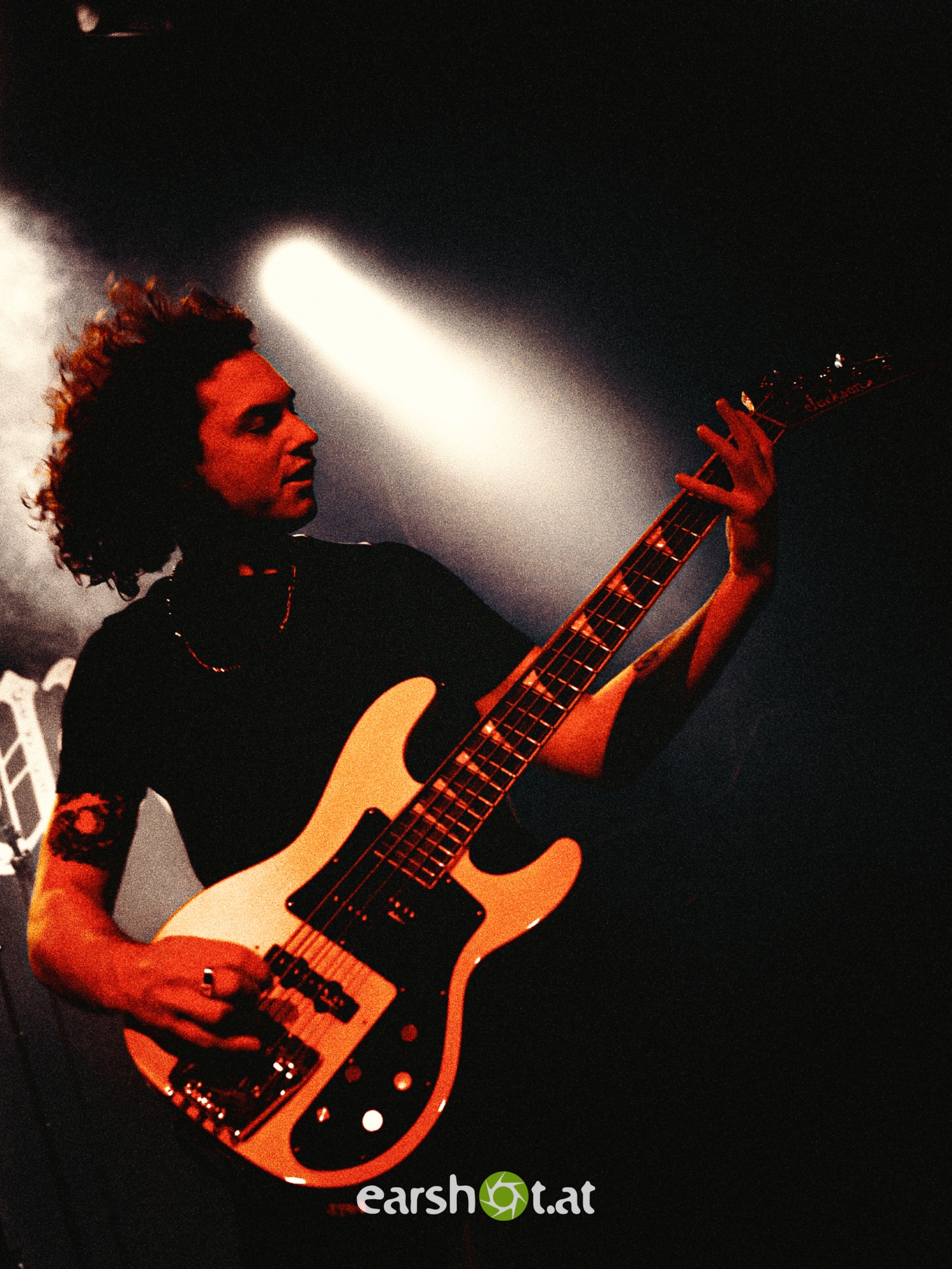 STRAY FROM THE PATH, ALPHA WOLF, GRAPHIC NATURE, CALVA LOUISE