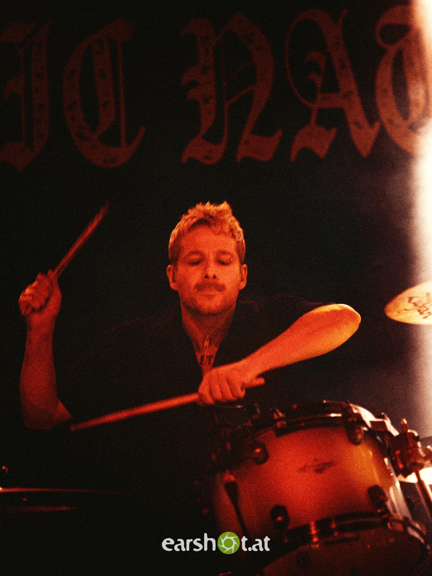 STRAY FROM THE PATH, ALPHA WOLF, GRAPHIC NATURE, CALVA LOUISE