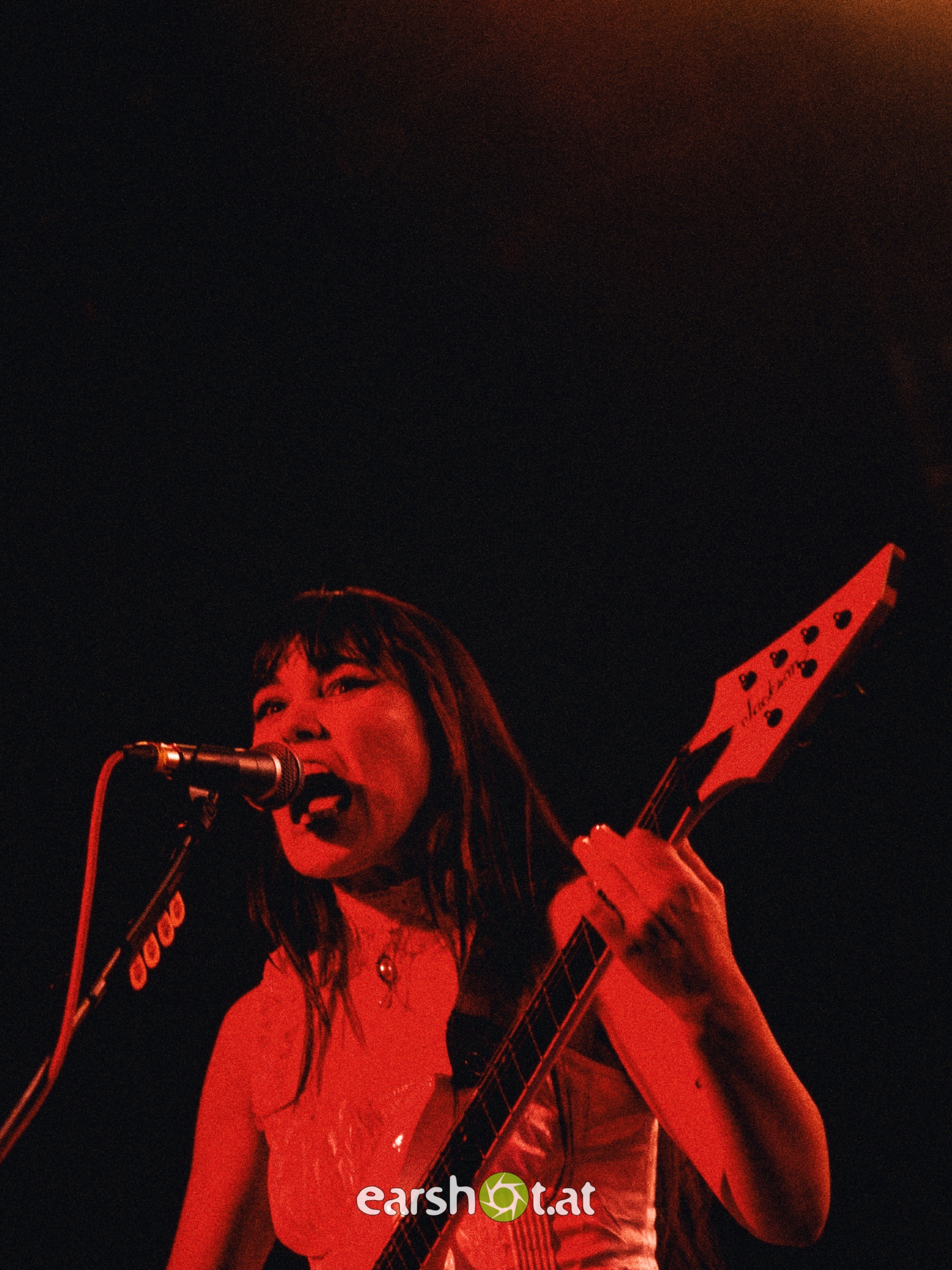 STRAY FROM THE PATH, ALPHA WOLF, GRAPHIC NATURE, CALVA LOUISE