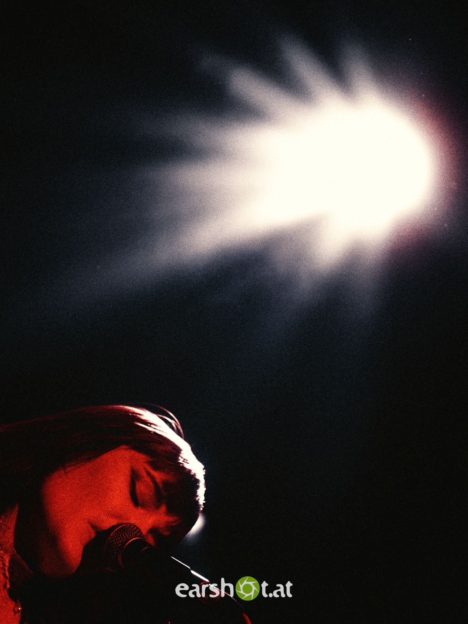 STRAY FROM THE PATH, ALPHA WOLF, GRAPHIC NATURE, CALVA LOUISE